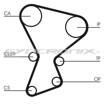 Timing Belt