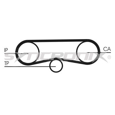 Timing Belt Kit (SY1101018)