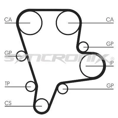 Timing Belt