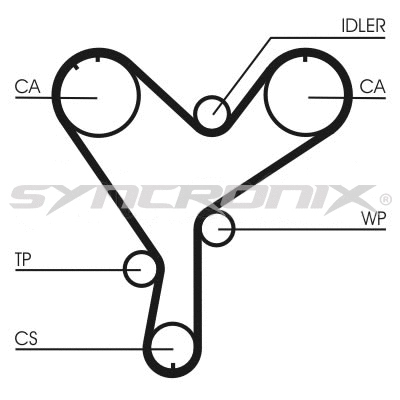 Timing Belt