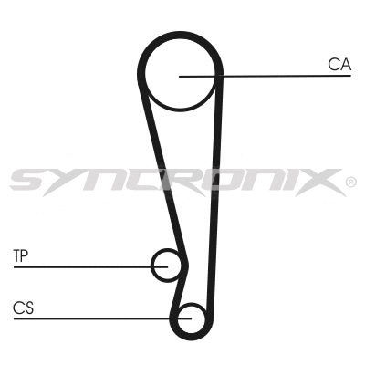 Timing Belt Kit (SY1101024)