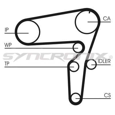 Timing Belt Kit (SY3101105)
