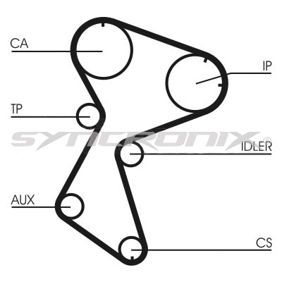 Timing Belt