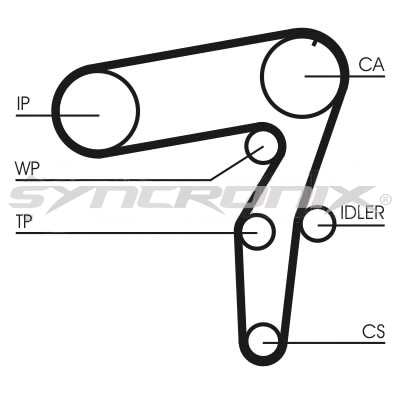 Timing Belt Kit (SY210968)