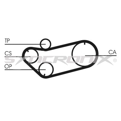Timing Belt