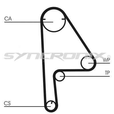 Timing Belt Kit (SY1101081)