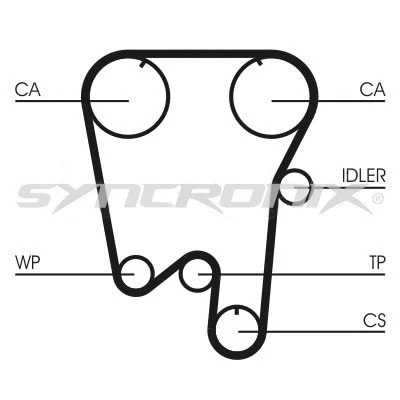 Timing Belt