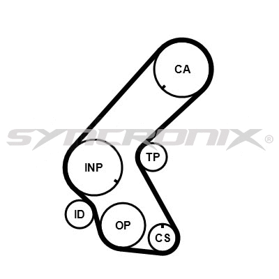Timing Belt Kit (SY1101078)