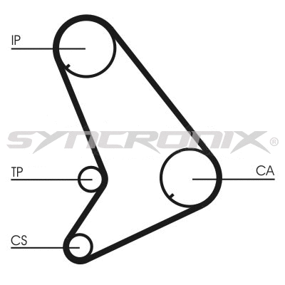 Timing Belt Kit (SY1101055)