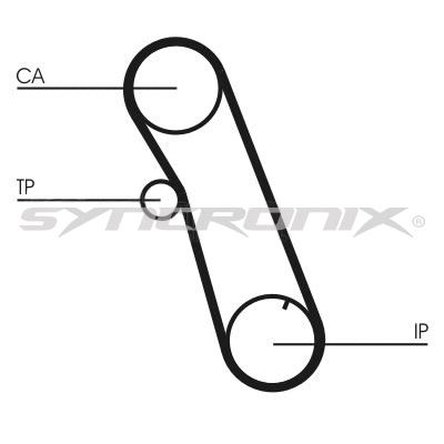 Timing Belt