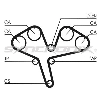 Timing Belt