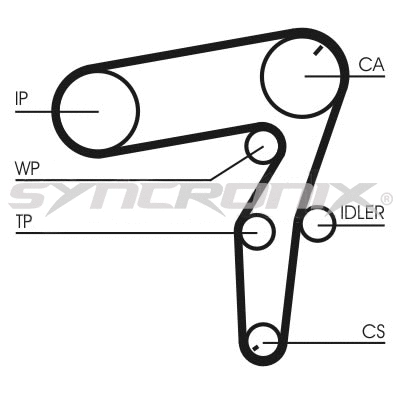 Timing Belt Kit (SY1101106)