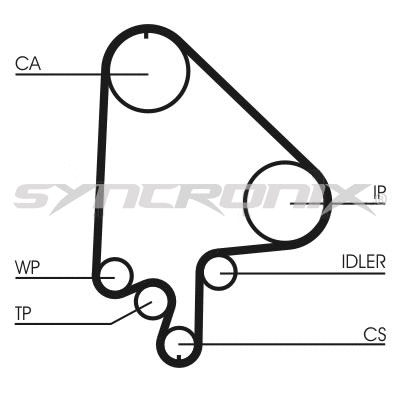 Timing Belt Kit (SY110871)
