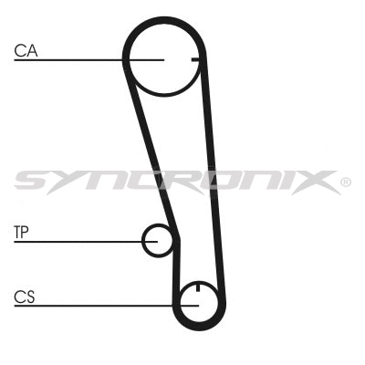 Timing Belt