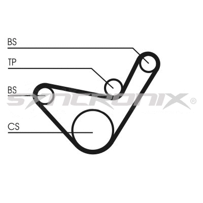 Timing Belt Kit (SY2101152)