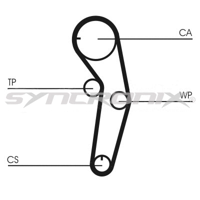 Timing Belt Kit (SY1101053)