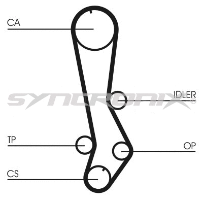 Timing Belt