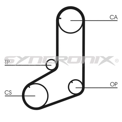 Timing Belt