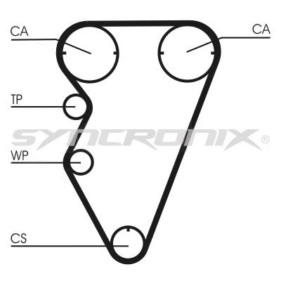 Timing Belt