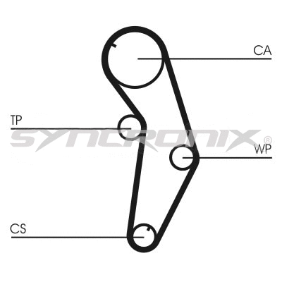 Timing Belt Kit (SY110841)