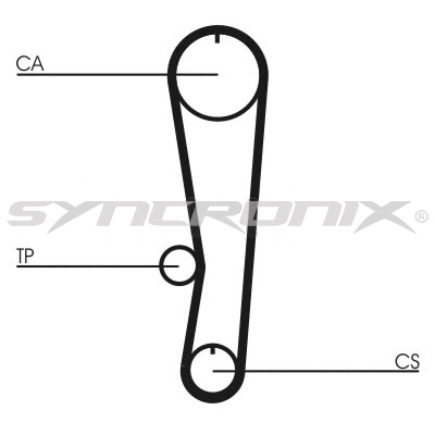Timing Belt Kit (SY110895)