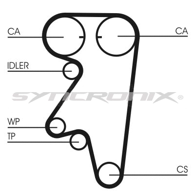 Timing Belt