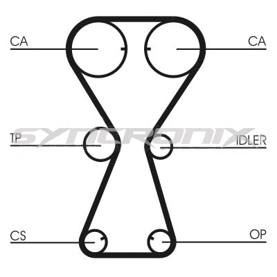 Timing Belt