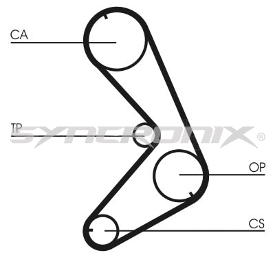 Timing Belt Kit (SY110750)