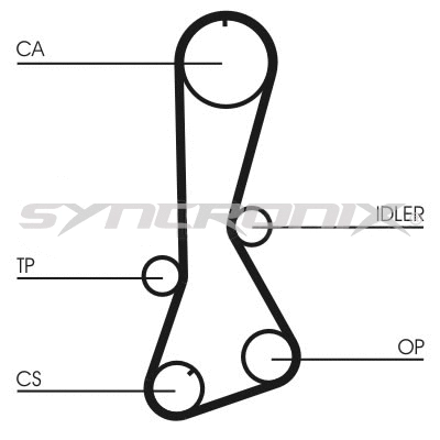 Timing Belt Kit (SY110695)