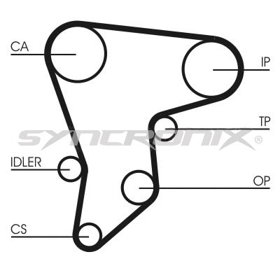 Timing Belt