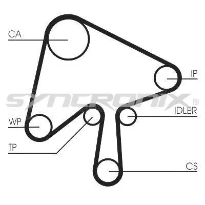 Timing Belt Kit (SY1101136)