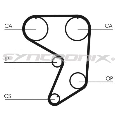 Timing Belt