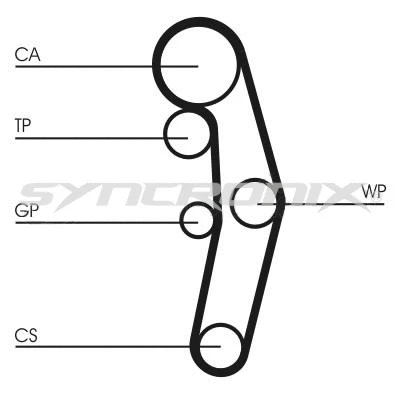 Timing Belt Kit (SY3101028)