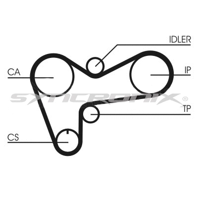 Timing Belt