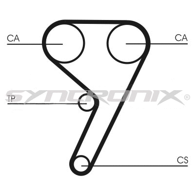 Timing Belt Kit (SY210881)