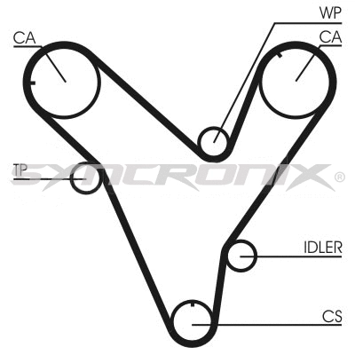 Timing Belt