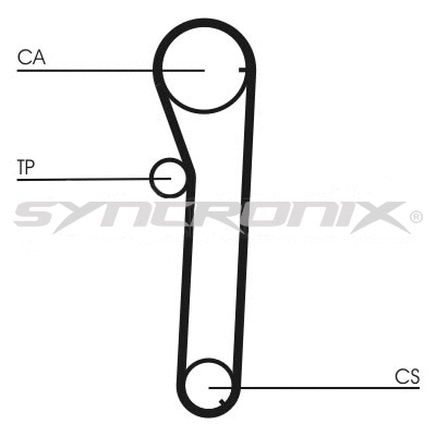 Timing Belt