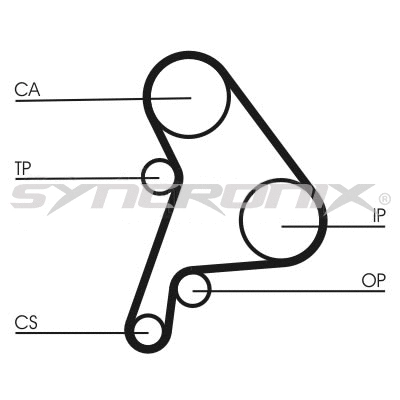 Timing Belt Kit (SY2101012)