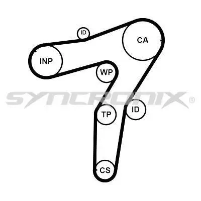 Water Pump & Timing Belt Kit (SY1101183PE)
