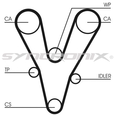 Timing Belt