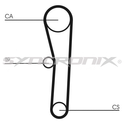 Timing Belt