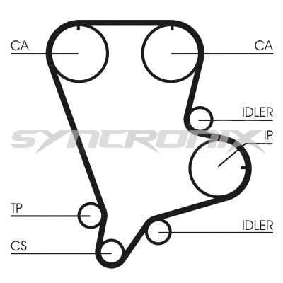 Timing Belt