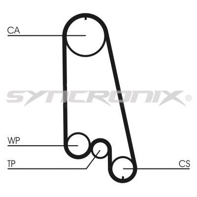 Timing Belt Kit (SY110874)