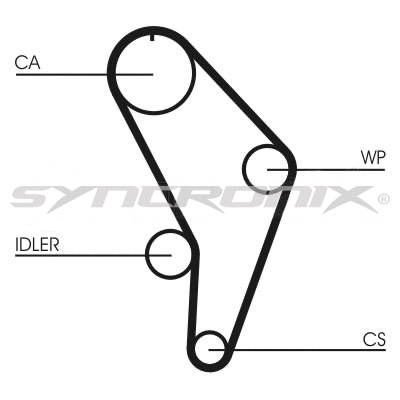 Timing Belt