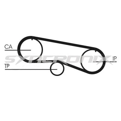 Timing Belt