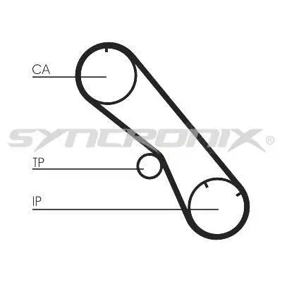 Timing Belt