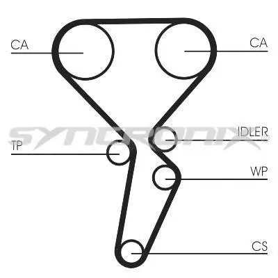 Timing Belt Kit (SY4101179)