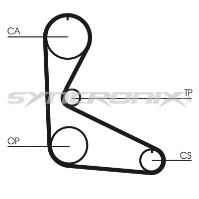 Timing Belt