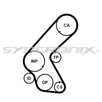Timing Belt Kit (SY3101014)