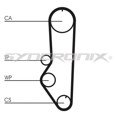 Timing Belt